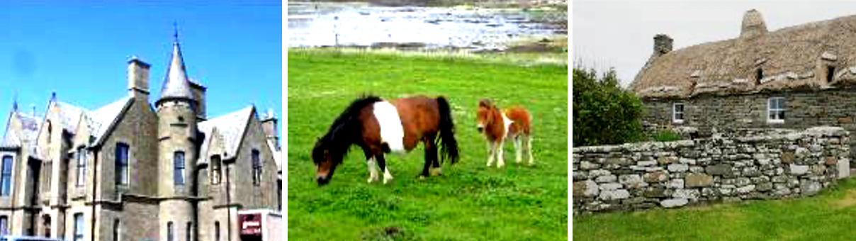 Bilde12-shetland