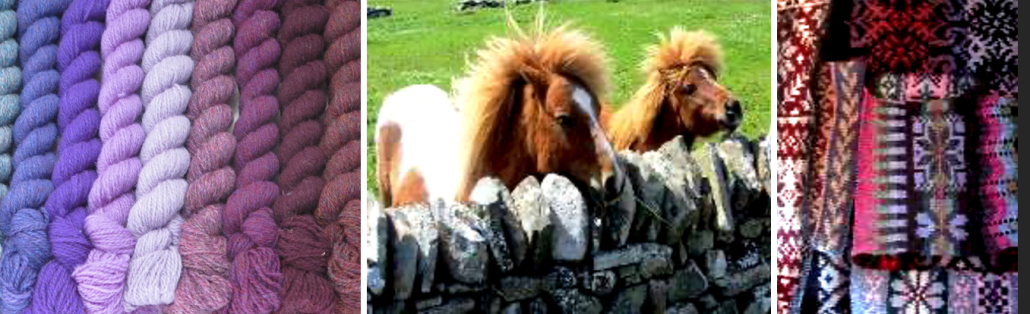 Bilde6-shetland