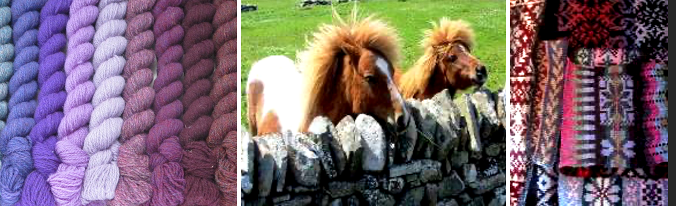 Bilde6-shetland