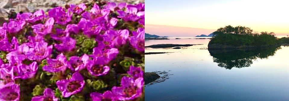 Dette bidrar til trivsel for lokalbefolkningen
